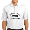 Tech Sport Dri FIT Polo Thumbnail